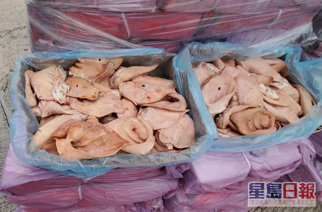 海关检获约值520万元的走私冻肉及内脏 。