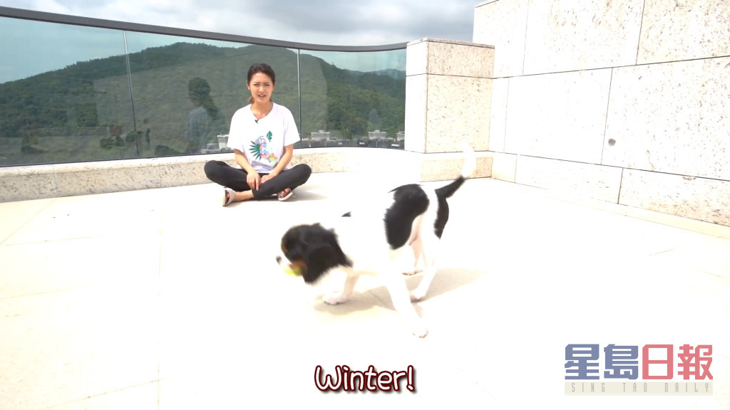陈庭欣更曾在家中的630尺天台与爱犬一齐拍片。