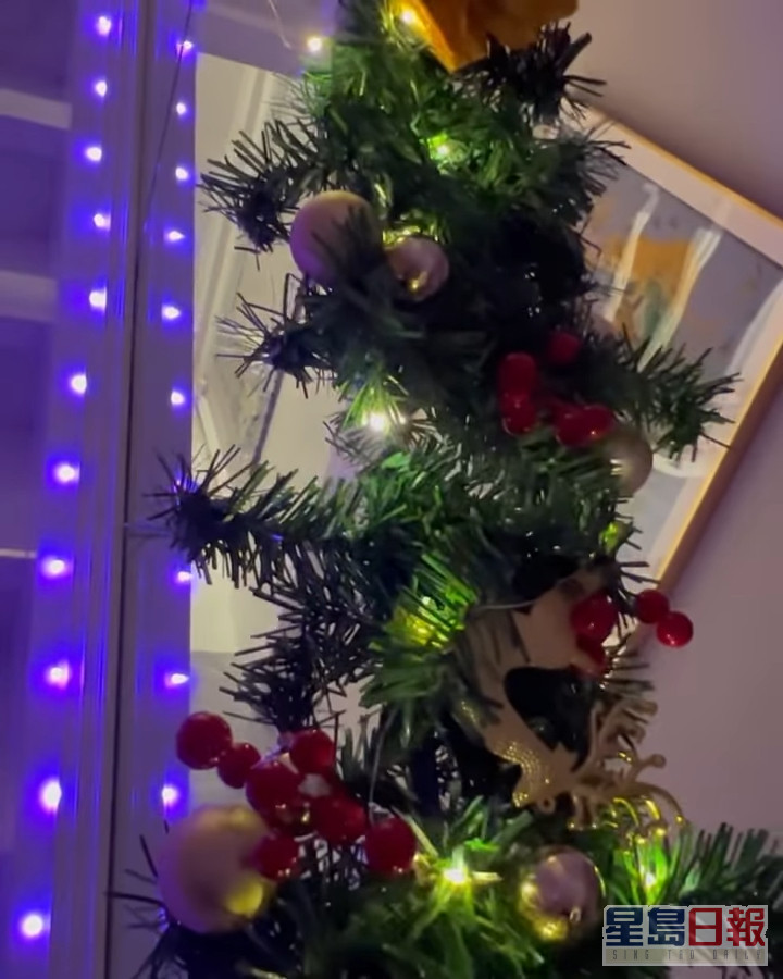 屋內連接上層的樓梯亦掛上燈飾，令家中充滿聖誕氣氛。