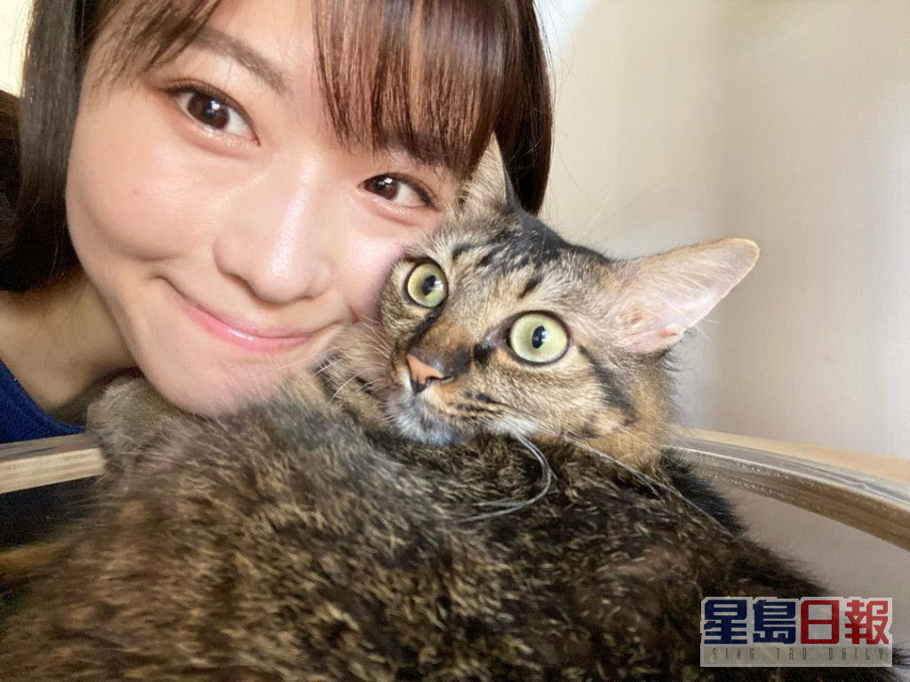 虽然与吴业坤未有小朋友，但有养猫。