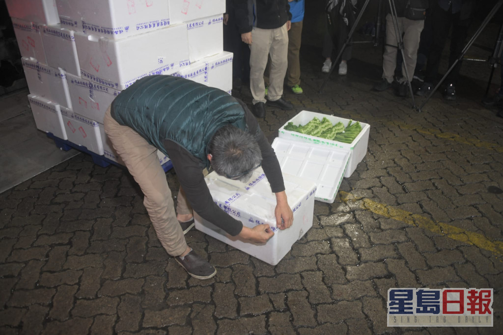 首批蔬菜运抵油麻地装卸区。