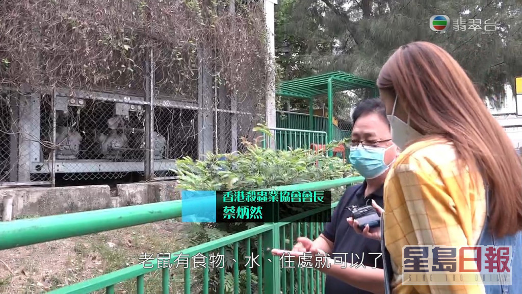 《东张》带同灭鼠专家一同视察蝴蝶邨。