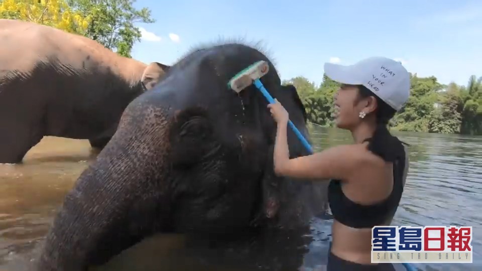 姜丽文早前经泰国返港，曾到保护区帮大象冲凉。