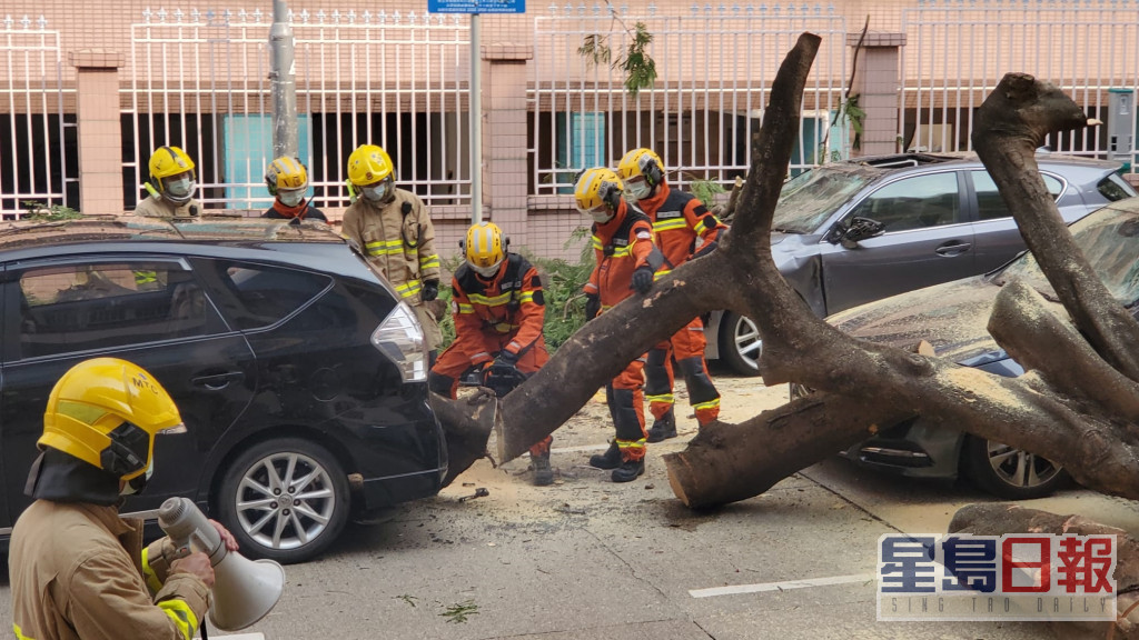 大樹塌下壓四車，消防要鋸斷大樹善後。