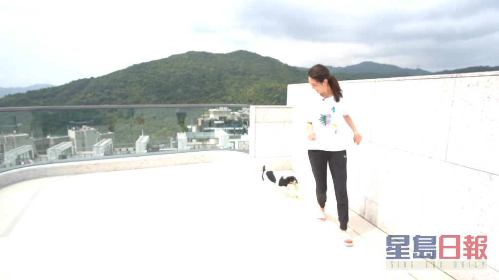 陈庭欣爱犬在630尺天台奔跑的影片，空间大到令部份网民表示羡慕。