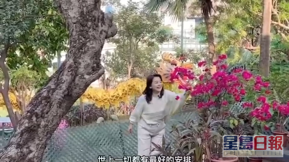 胡慧中间中赏吓花。