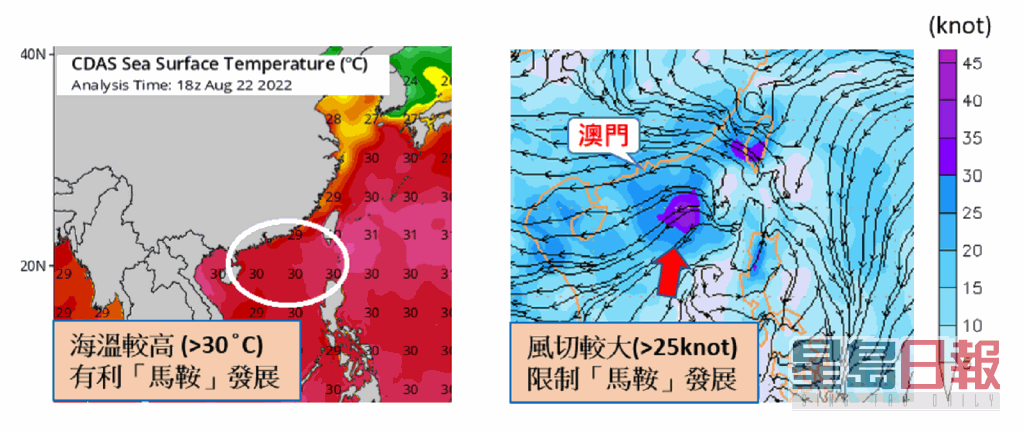  8月23日海溫分佈圖來源：NCEP CDAS (Tropical Tidbits) 、8月24日早上8時250~850hpa垂直風切預報圖 (右)。澳門氣象局圖片