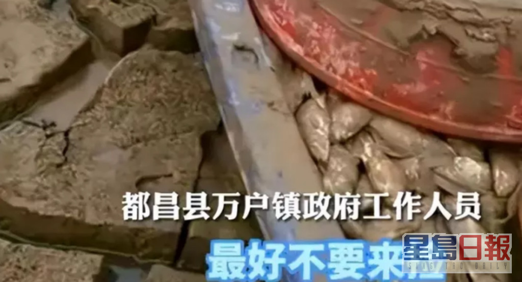 都昌县万户镇政府工作呼吁市民勿往捡鱼。