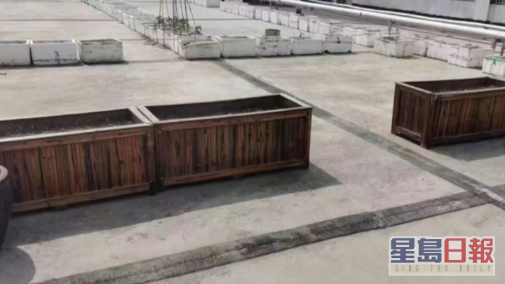 被偷的木箱在王男公司的天台被寻回。网上影片截图
