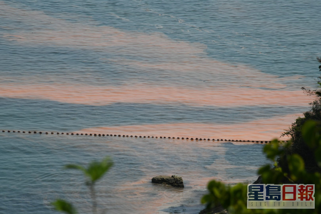 赤柱龟背湾及对开海面怀疑出现红潮。