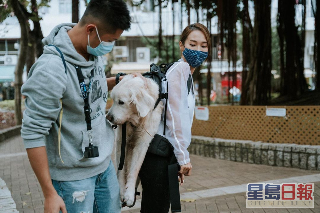 李旻芳曾每日孭住行動不便的狗狗散步。