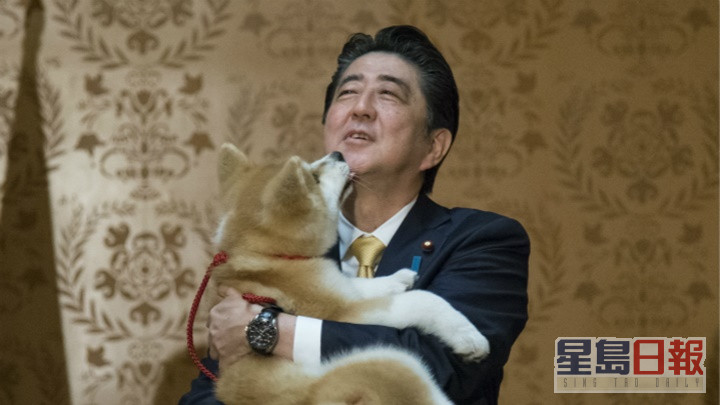 安倍2018年与夫人出席向萨姬杜娃送赠秋田犬的典礼，即场抱起狗狗。AP图片