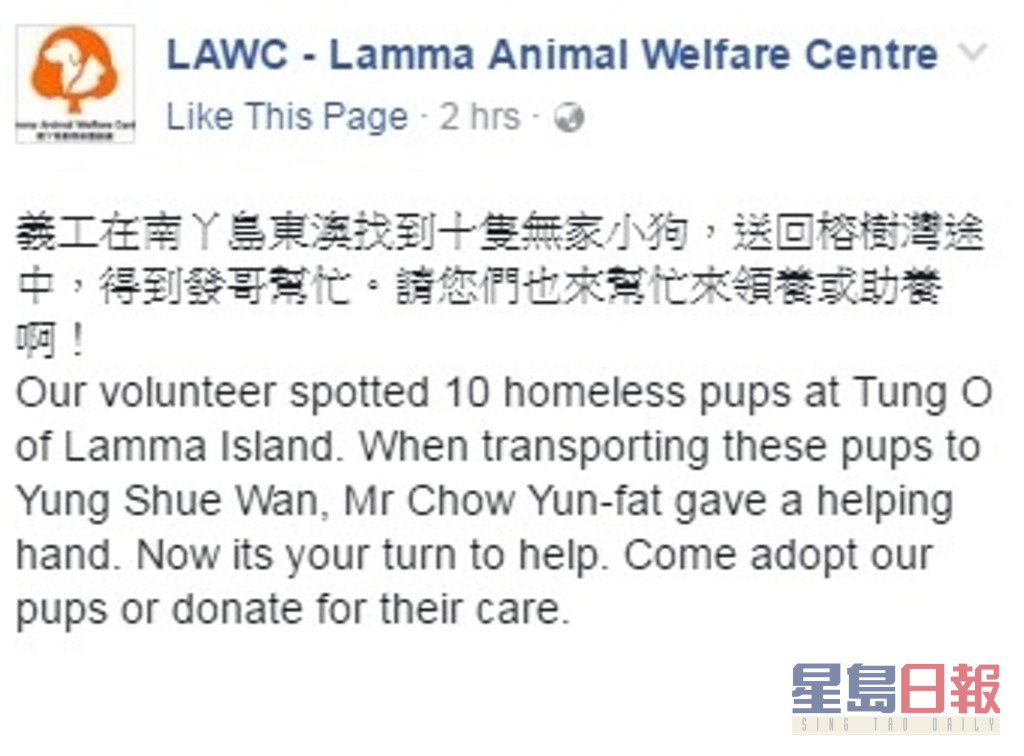 2017年一个南丫岛动物保护组织在Facebook分享发哥在码头主动帮手推车仔，送多只流浪狗仔上岸。