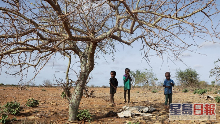 索馬里在持續乾旱下，導致當地今年出現饑荒。路透社資料圖片