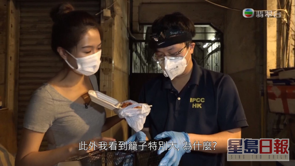 灭鼠专家戴上高防护功能口罩兼手套。