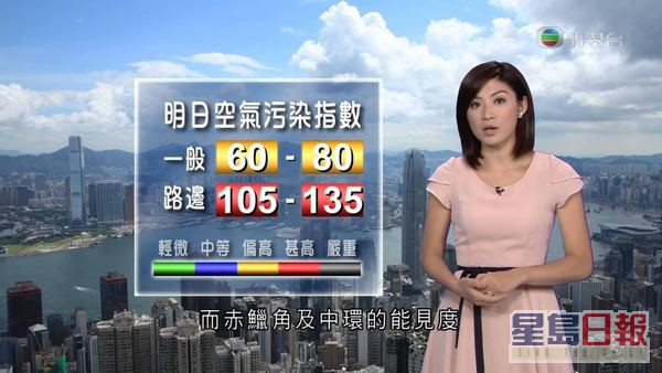 張文采曾主持《香港早晨》、《六點半新聞報道》、《天氣報告》及《晚間新聞》等節目。