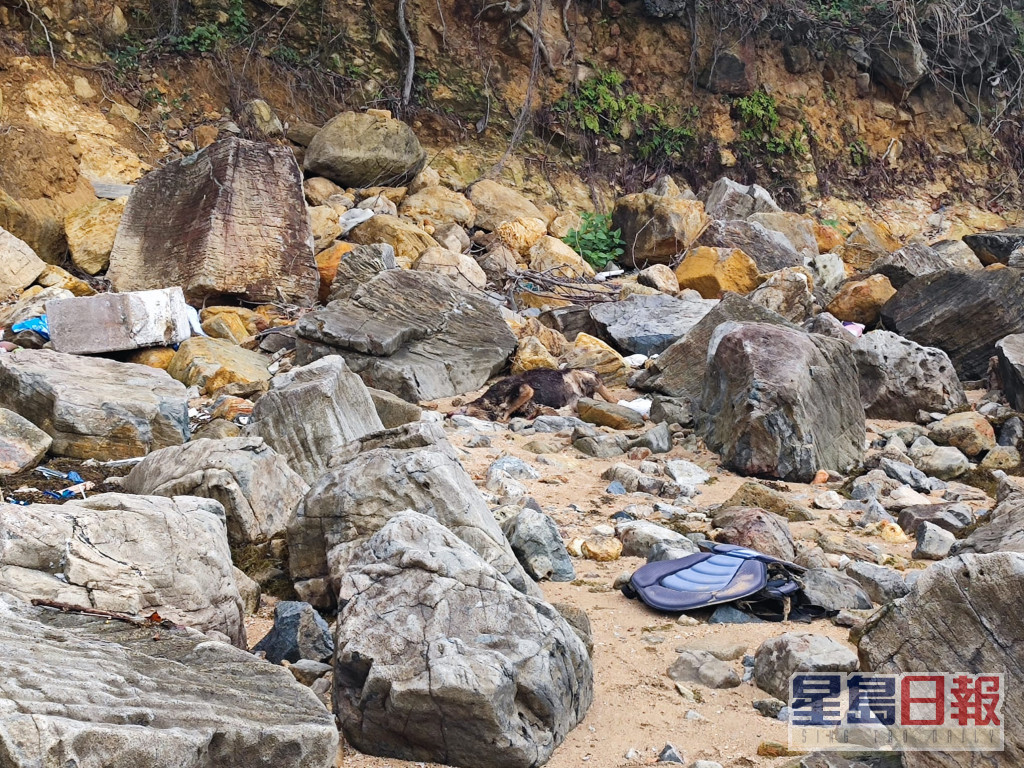 相思湾海滩的石滩位置发现狗只尸体。梁国峰摄