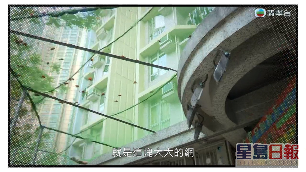 《东张西望》今晚播出旺角海富苑的幼稚园外，长年被人高空掷物。