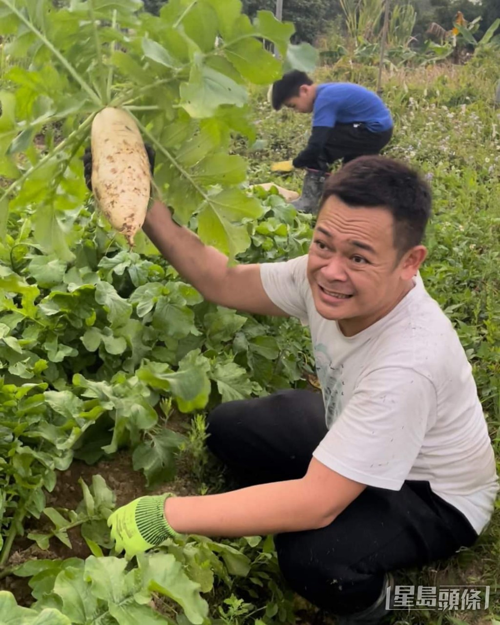 祖祖好著重環保,仲會定時落田耕種。