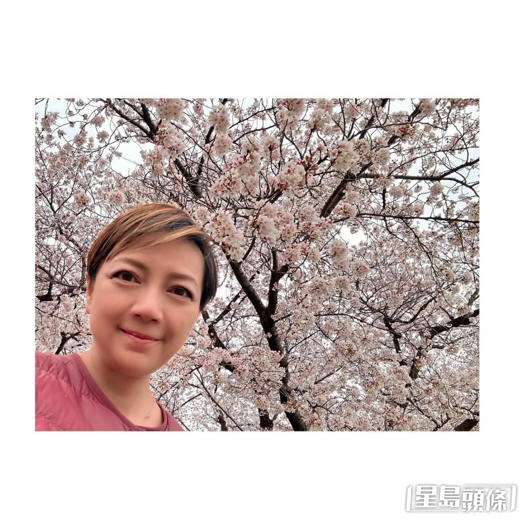 楊婉儀的外貎完全看不出歲月的痕跡。