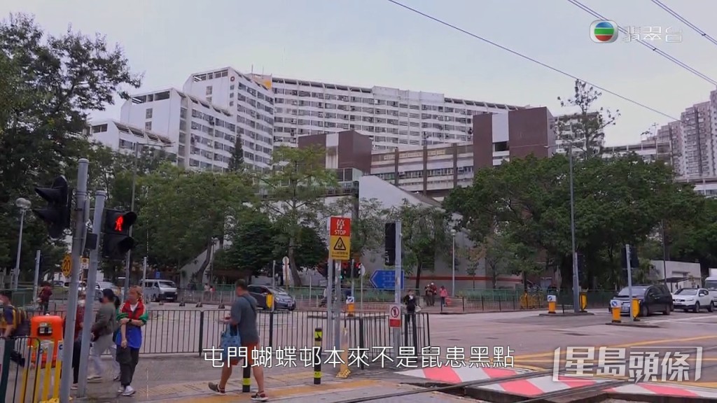 《東張》主持黎寬怡走訪屯門蝴蝶邨，現察視察當地鼠患情況。