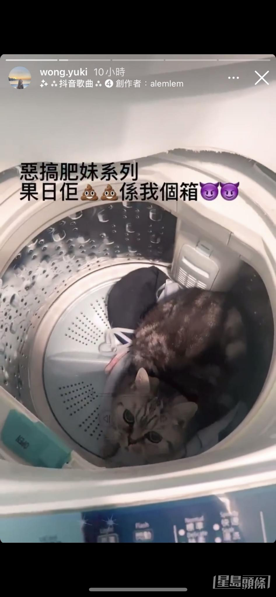 去年2月黃嘉雯家姐黃綺婷在ig上載一段疑似虐貓影片，引起網民捕警，其後她在屯門寓所被捕。