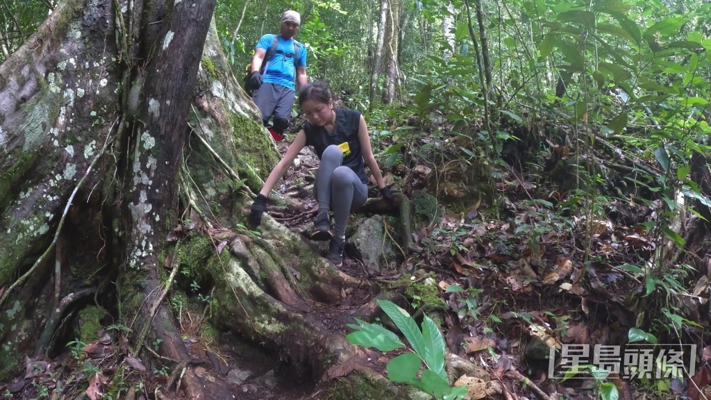 Karen跟奶仔挑战海拔1200米高的剑峰，似爬山多过行山。