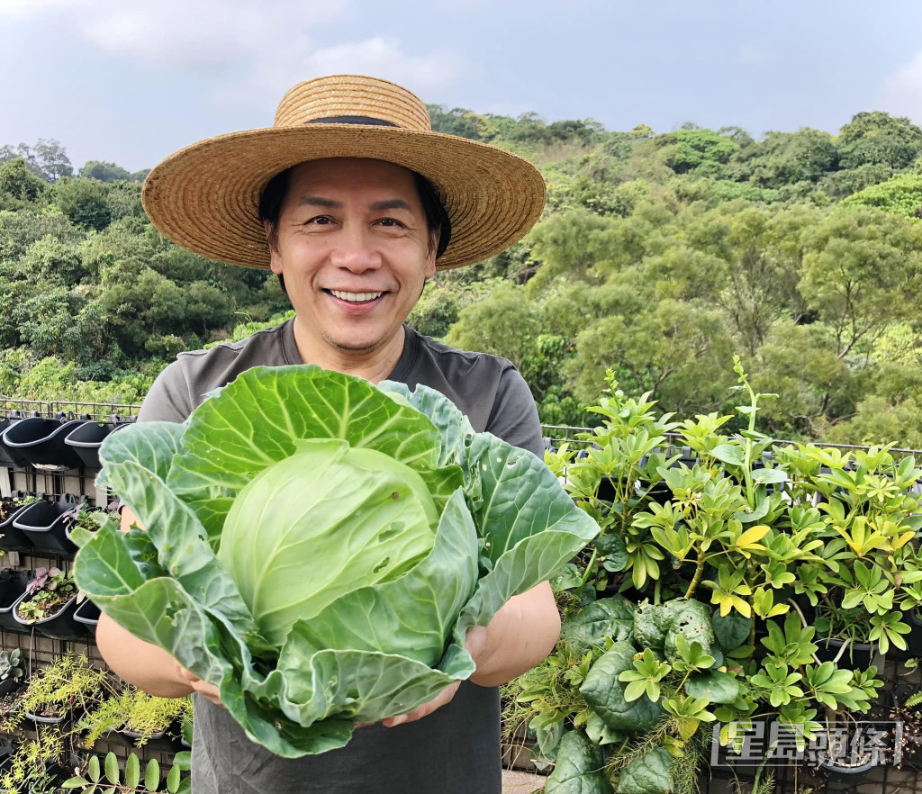 许杰辉过往形象正面。