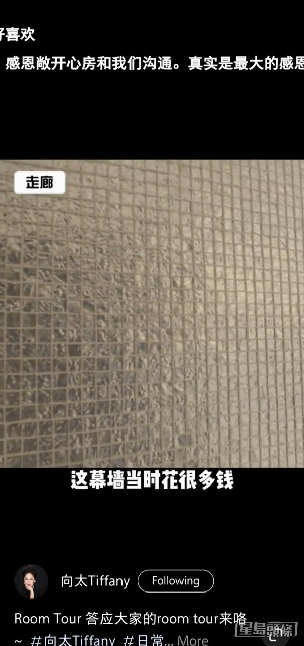 用銀箔鋪牆，向太指她非常喜歡。