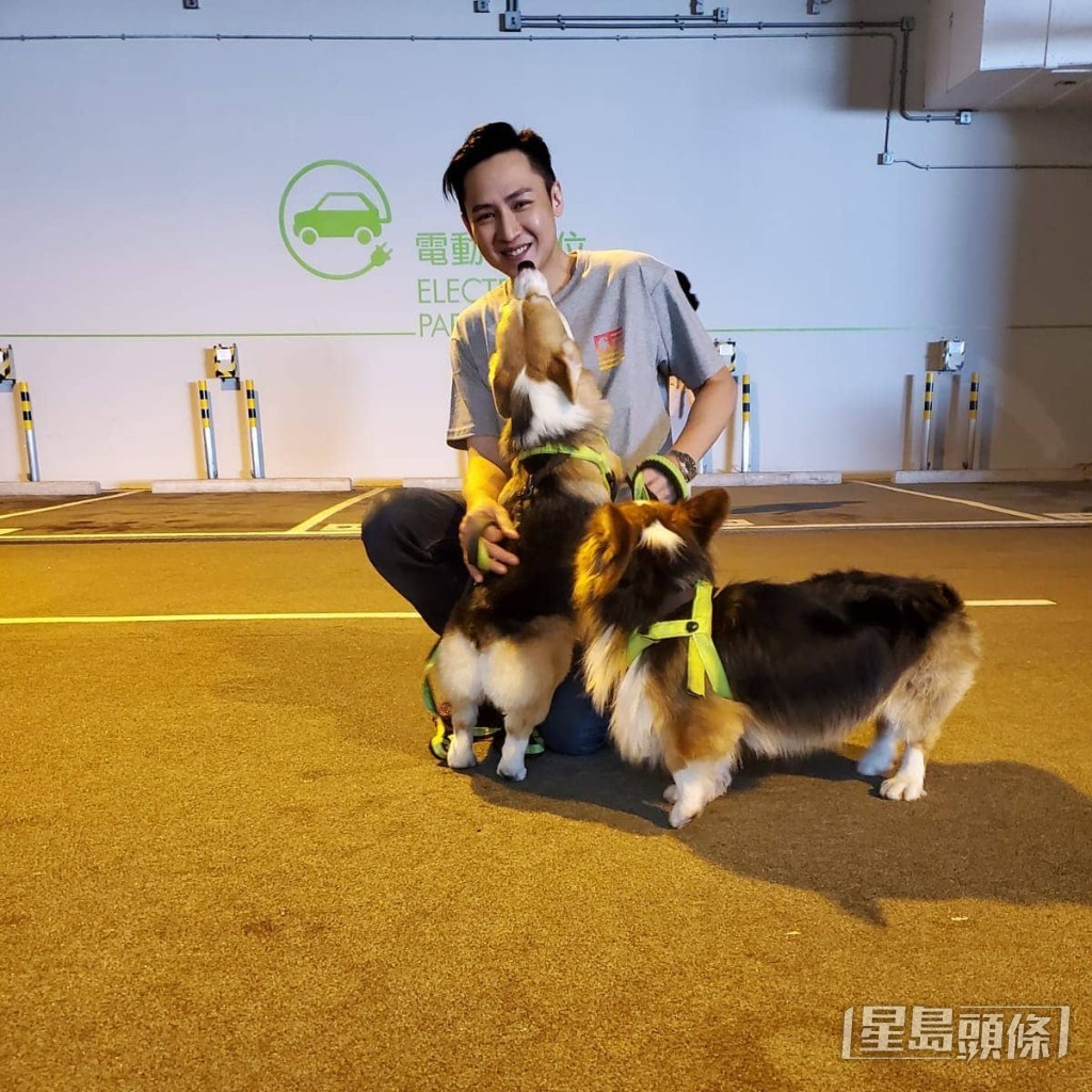 朱汇林为爱狗之人。