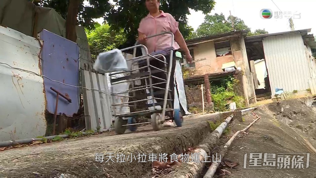 蘭婆婆的狗養在山上，每日都拉車仔上山，煮飯給狗狗食，還裝設閉露電視，24小時睇住狗狗。