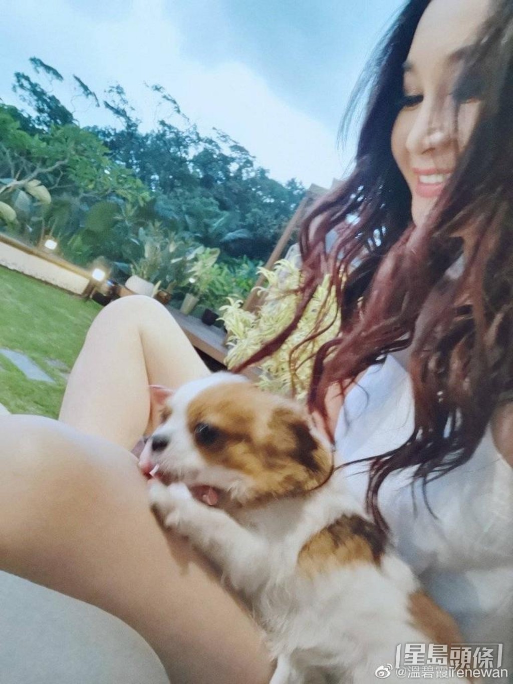 愛犬都有地方散步。