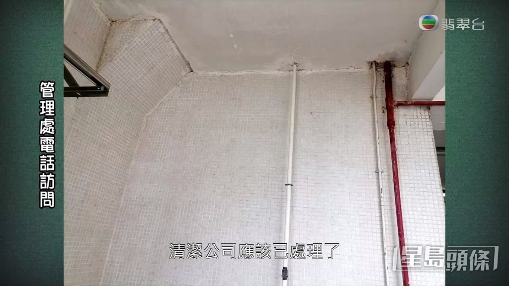 《東張西望》向管理公司查詢，對方指已經請滅蟲公司派人清除了現場的白蟻。