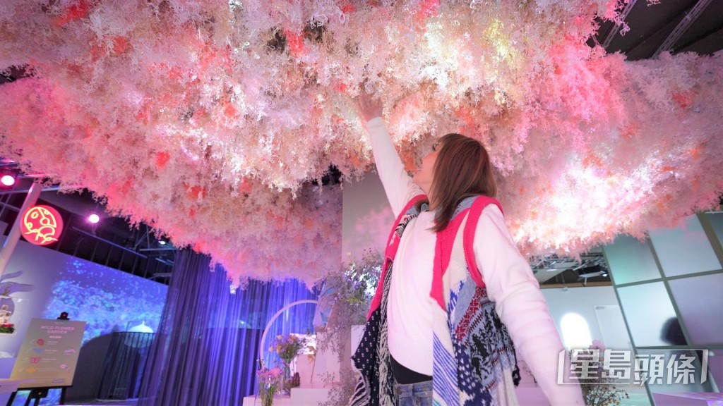 杜如風在花藝展作五感體驗,而場內亦有好多打卡位。