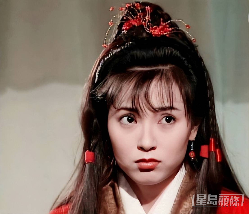 傅明憲憑1995年TVB劇《神鵰俠侶》獲得「最美郭芙」美譽。