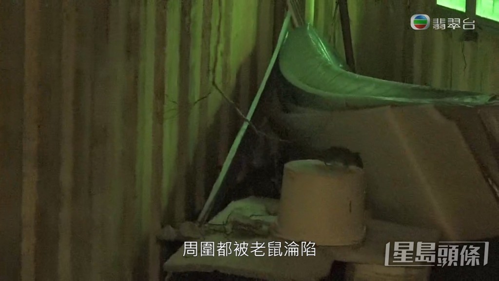 地盤負責人指，他們亦有設置捕鼠工具，平均每朝捉到六、七隻。