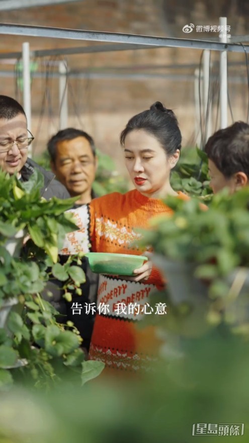 葉璇推廣士多啤梨。