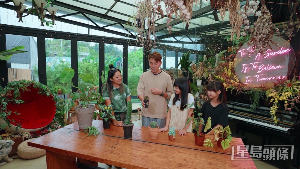 植物亦一樣,望落平凡同醜啲嘅植物,係咪就代表平?