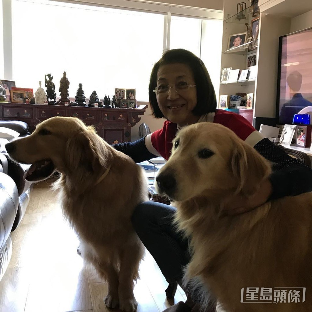 參與過不少劇集之演出。