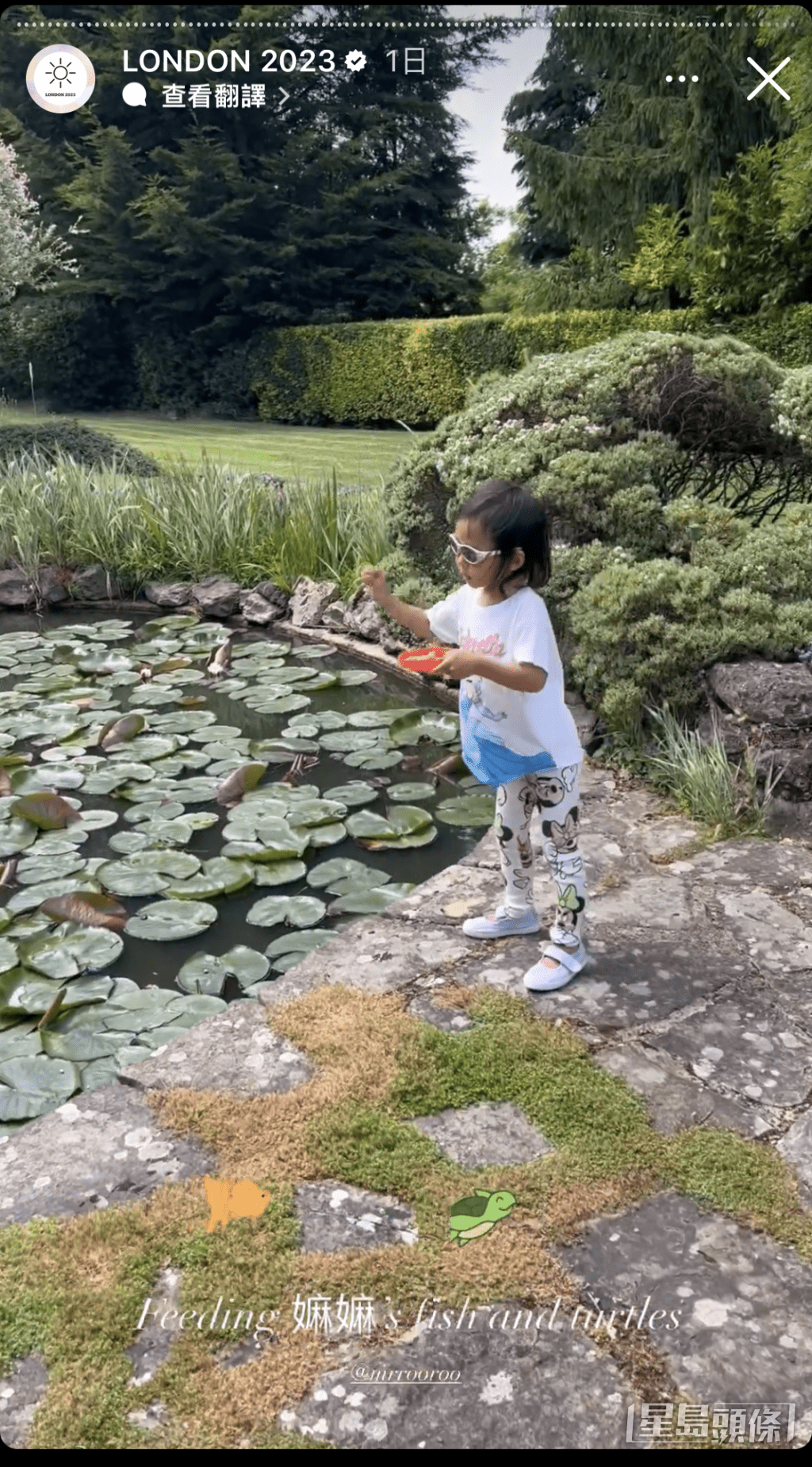 囡囡仲去餵魚。