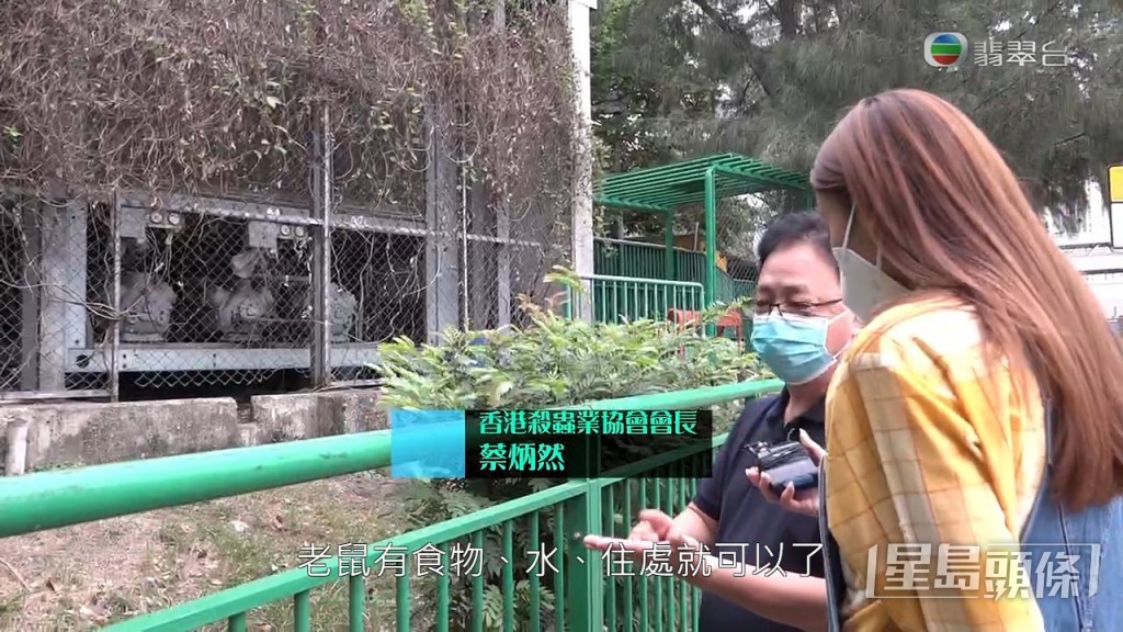 《東張》帶同滅鼠專家一同視察蝴蝶邨。