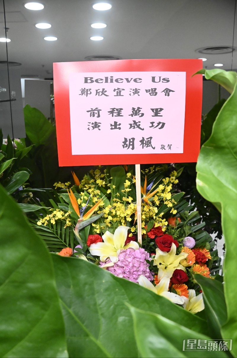 胡楓