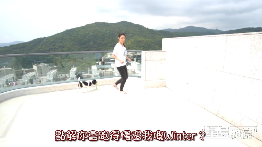 陈庭欣爱犬在630呎天台奔跑的影片，空间大到令部份网民表示羡慕。