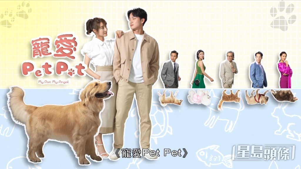 《寵愛Pet Pet》 主演:林夏薇、周嘉洛、姜大衞、黃子恆