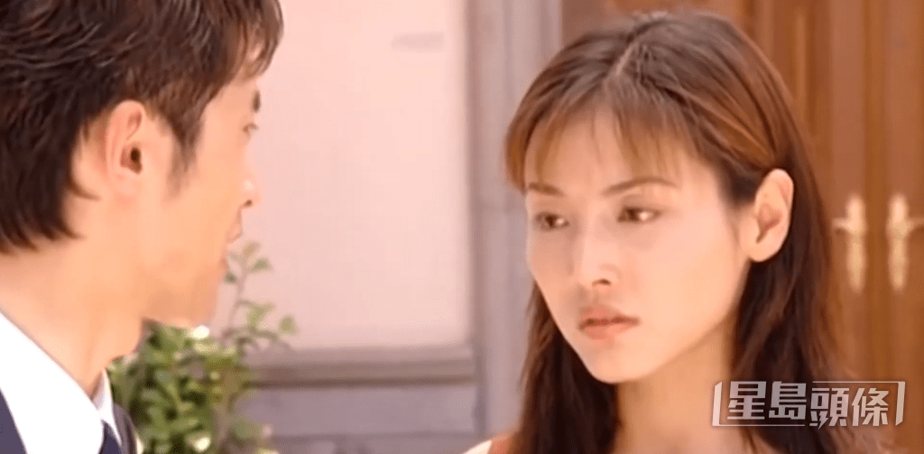 1995年,張延實習期滿後沒有簽約TVB,她隨即返回內地發展。