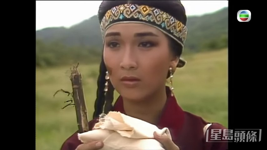參與過不少劇集之演出。
