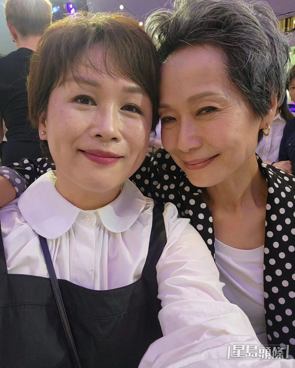 同影后葉童都有集郵。