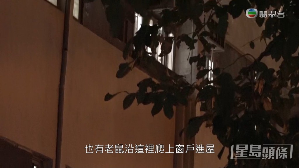更有老鼠沿渠爬入屋內。
