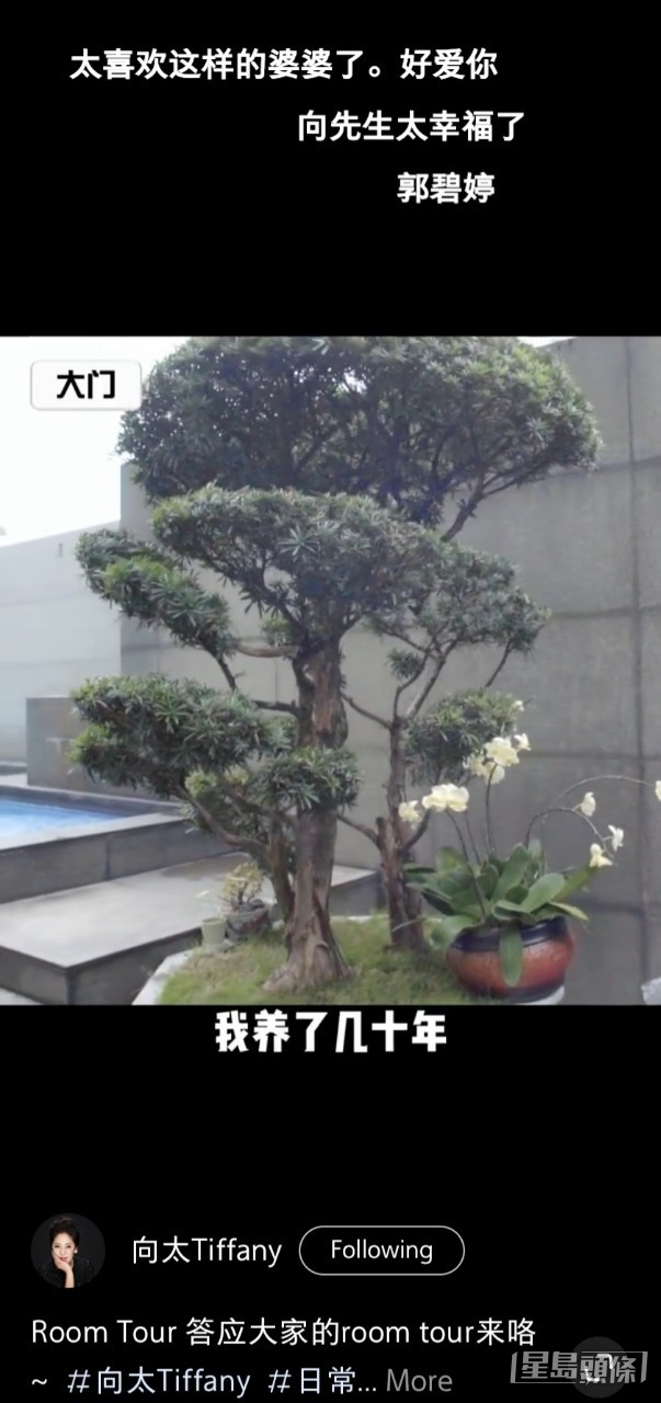 向太豪宅有個大花園。