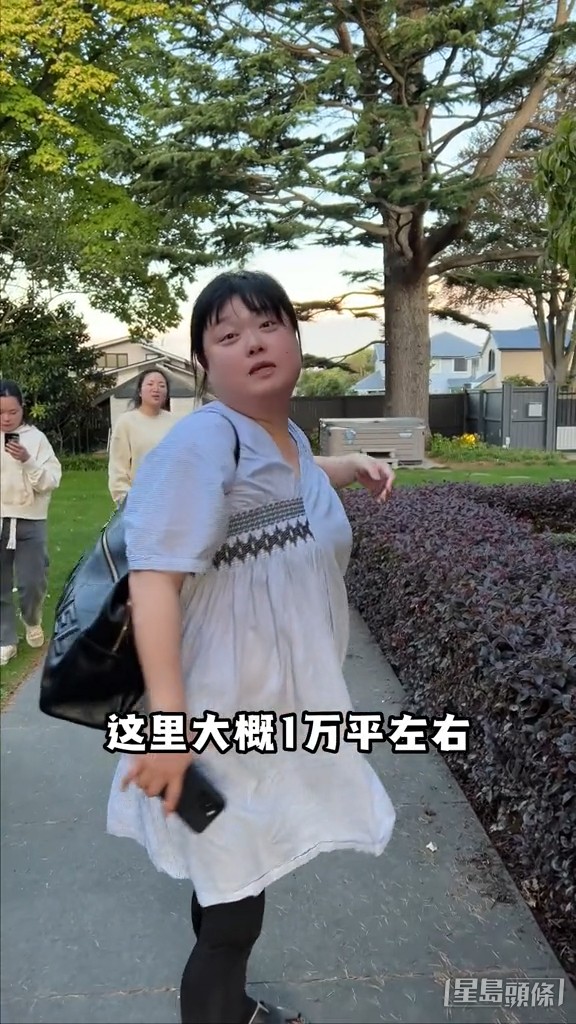 細細粒透露整個面積有1萬平方米。